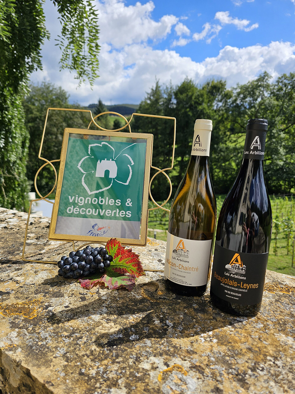 Awarded the label Vignobles & Découvertes